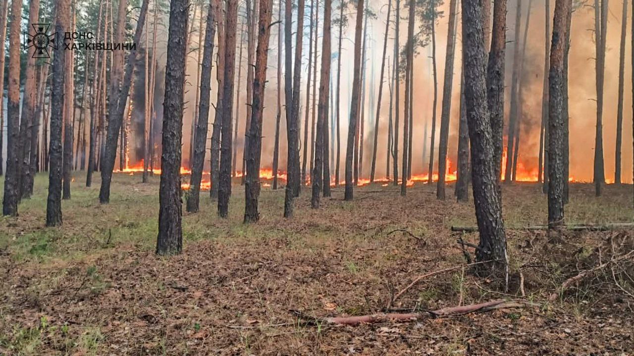 Новини Харкова: ДСНС ліквідовує три масштабні лісові пожежі